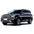 Дефлекторы для GAC GS8